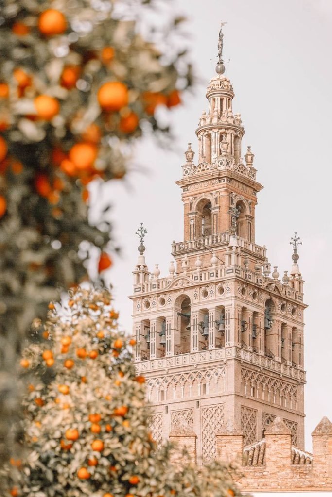 Patio con flores en una casa andaluza auténtica